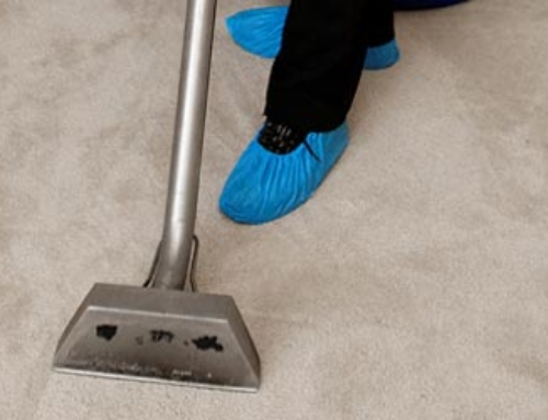 City Professional Carpet & Upholstery Cleaning