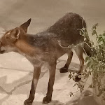 Photo n°1 de l'avis de anna.i fait le 17/08/2021 à 07:13 sur le  Terrae Eremis: Ristorante, Bar, B&B à Roccamorice