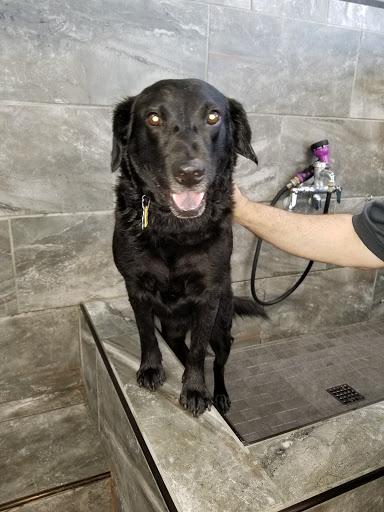 Pet Supply Store «Pet Supermarket», reviews and photos, 14044 Grant Rd Ste 200, Cypress, TX 77429, USA