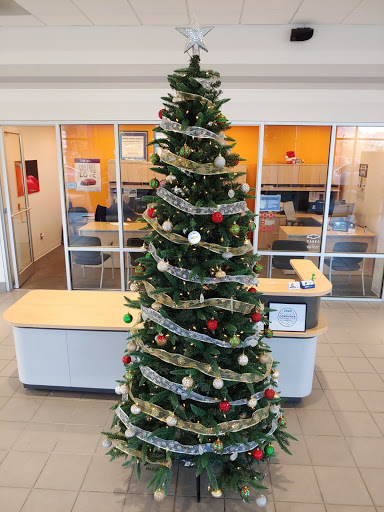 Car Dealer «Waynesville Chevrolet Buick», reviews and photos, 285 Hyatt Creek Rd, Waynesville, NC 28786, USA