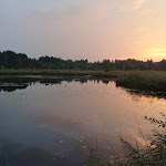 Photo n°3 de l'avis de Hermine.a fait le 20/09/2020 à 18:40 sur le  Restaurant Elbsee à Aitrang