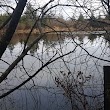 Carroll's Pond