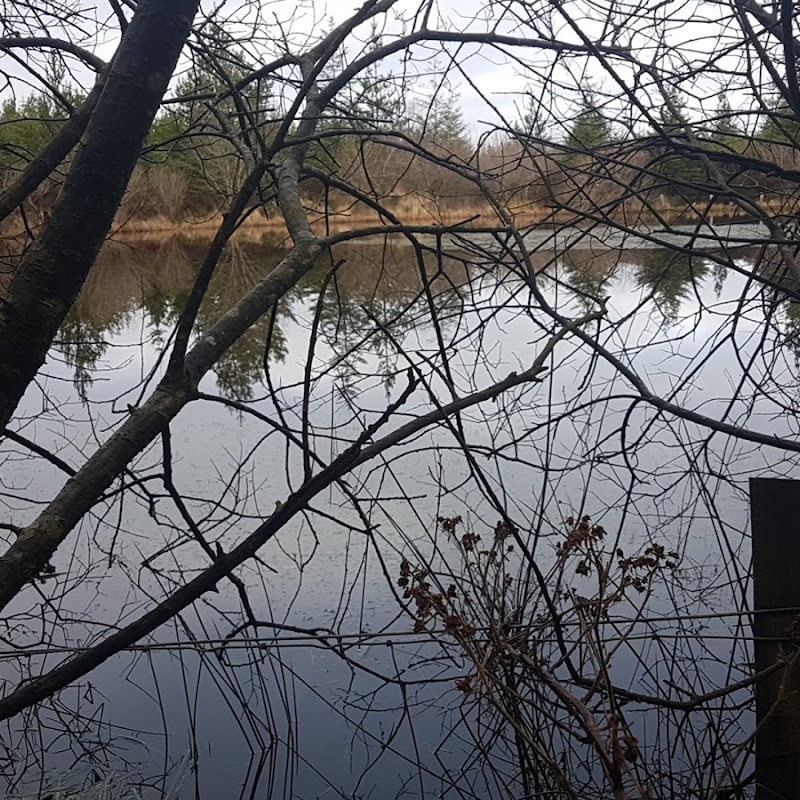 Carroll's Pond