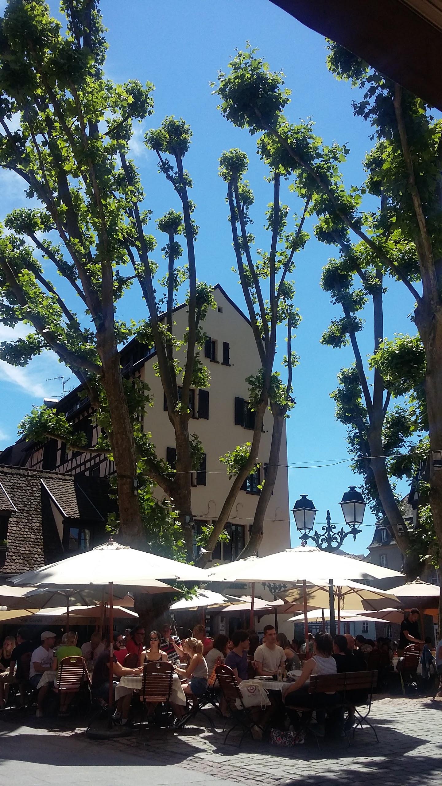 Photo n° 2 de l'avis de Emese.o fait le 12/06/2017 à 19:54