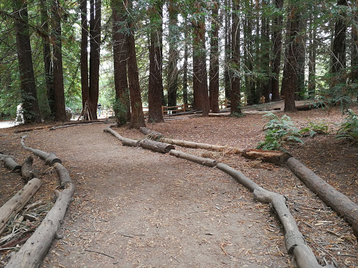 Redwood Gate
