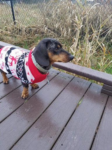 Park «Pioneer Park», reviews and photos, 14545 NW Pioneer Rd, Beaverton, OR 97006, USA