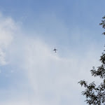 Photo n°3 de l'avis de Jens.c fait le 30/10/2022 à 07:56 sur le  Bergwirtschaft Wilder Mann à Dresden