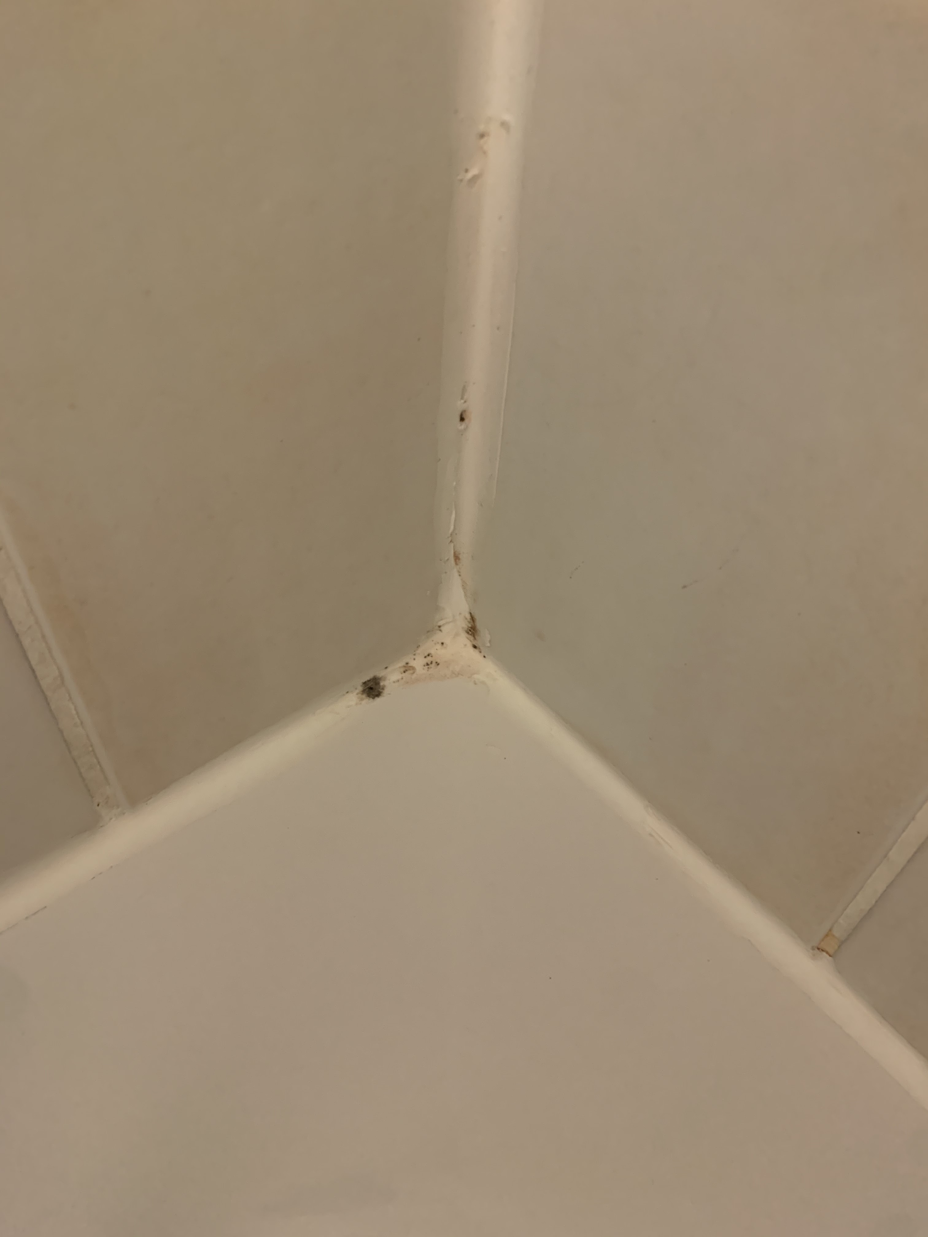 Photo n° 2 de l'avis de Jp.� fait le 04/10/2021 à 17:28