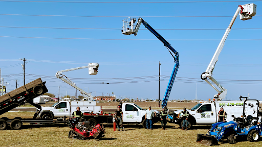 JRS PALM TREE SERVICE