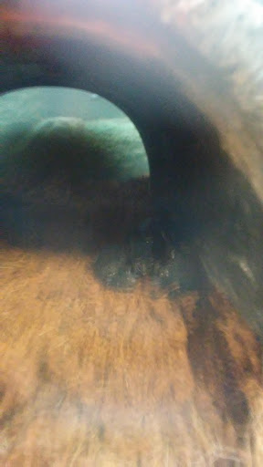 Pet Supply Store «Petco Animal Supplies», reviews and photos, 975 NW Gilman Blvd E, Issaquah, WA 98027, USA