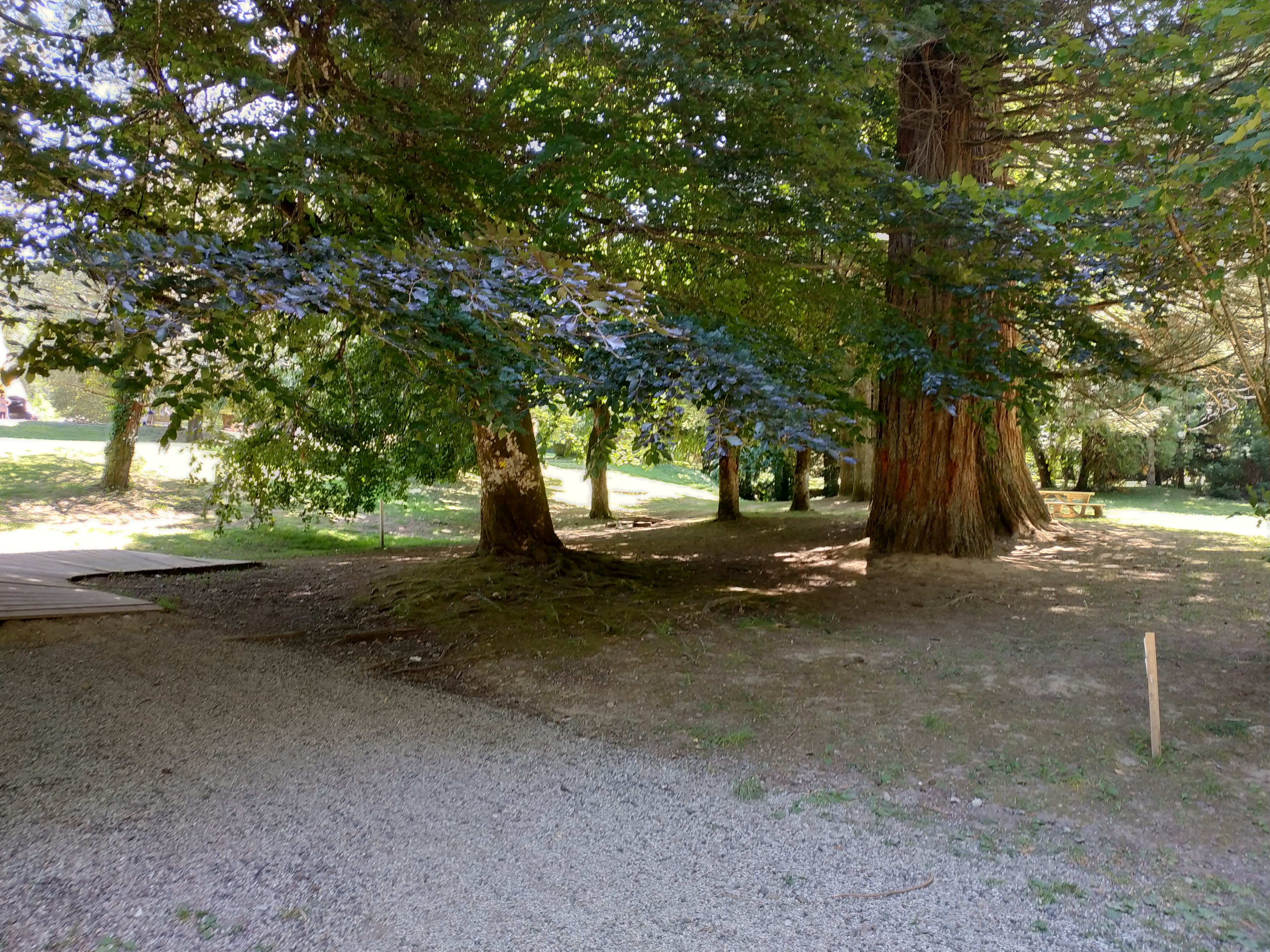 Photo n° 8 de l'avis de Tony.o fait le 21/07/2019 à 09:05