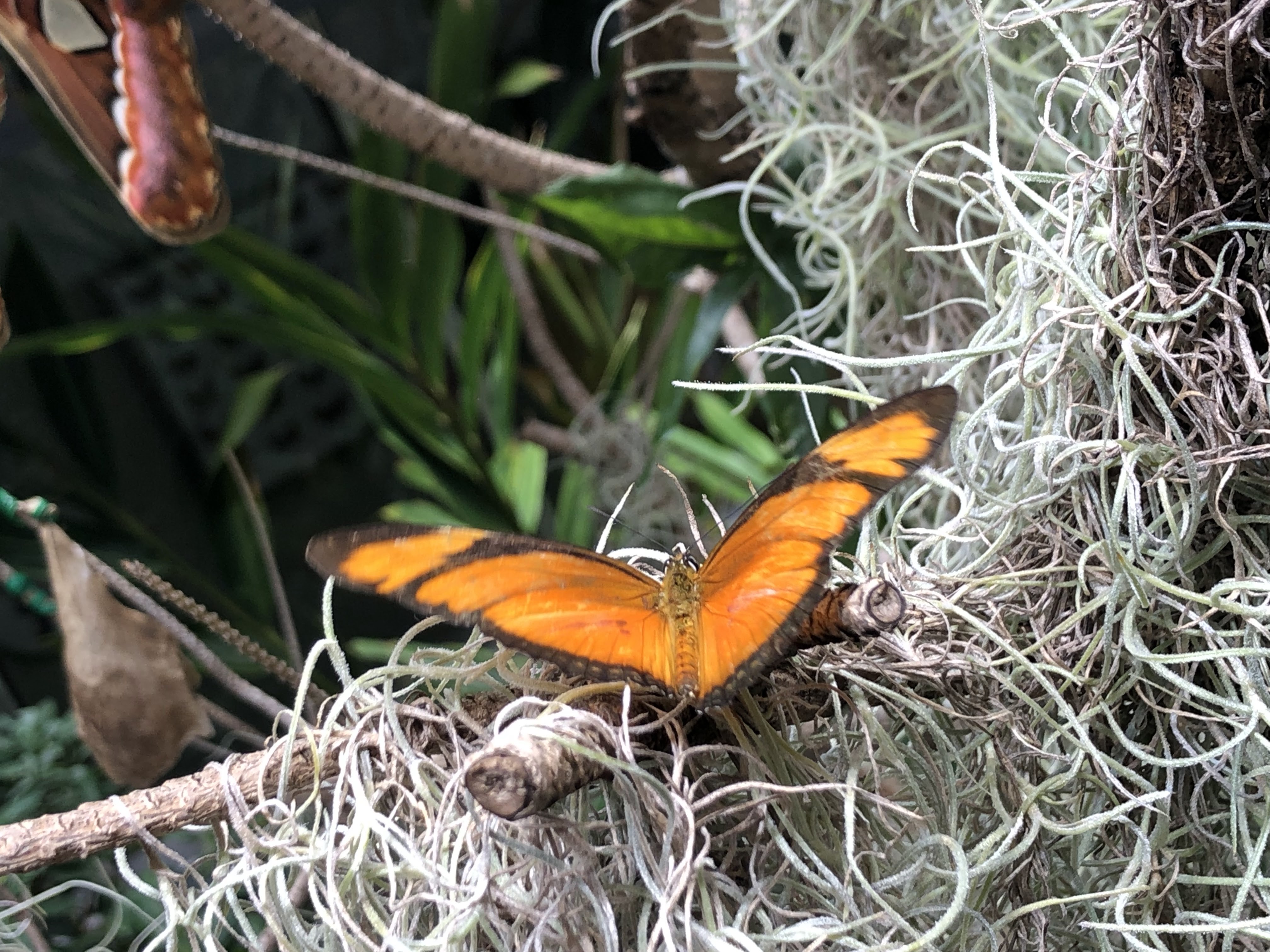 Photo n° 23 de l'avis de Nicolas.a fait le 07/06/2022 à 05:35