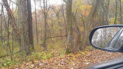 Nature Preserve «Iowa Raptor Center», reviews and photos, 2095 Mehaffey Bridge Rd NE, Solon, IA 52333, USA