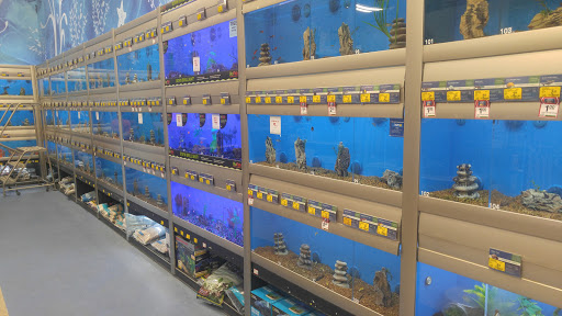 Pet Supply Store «PetSmart», reviews and photos, 98 Providence Hwy, East Walpole, MA 02032, USA