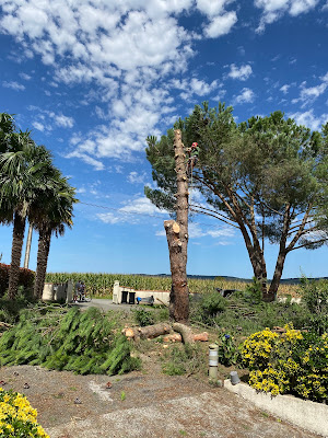 Arbor avec Sens - Jérôme Prunier à Baudreix