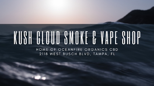 Tobacco Shop «Kush Cloud Smoke Shop», reviews and photos, 2118 W Busch Blvd, Tampa, FL 33612, USA