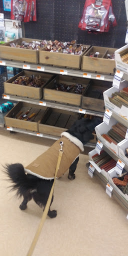 Pet Supply Store «Petco Animal Supplies», reviews and photos, 239 Newburyport Turnpike, Topsfield, MA 01983, USA