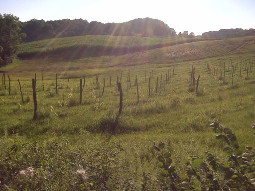 Winery «Cottage Winery and Vineyard», reviews and photos, N7391 County Road F, Menomonie, WI 54751, USA