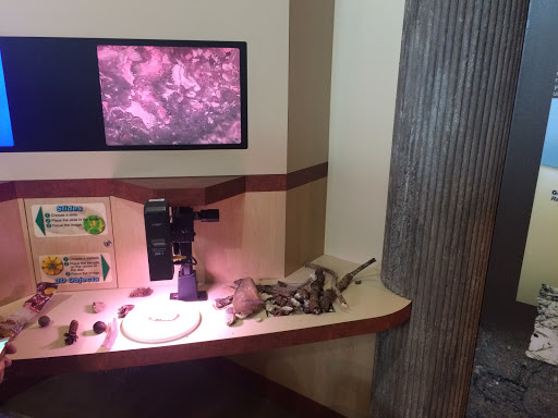 County Government Office «Brevard County Enchanted Forest Sanctuary», reviews and photos, 444 Columbia Blvd, Titusville, FL 32780, USA