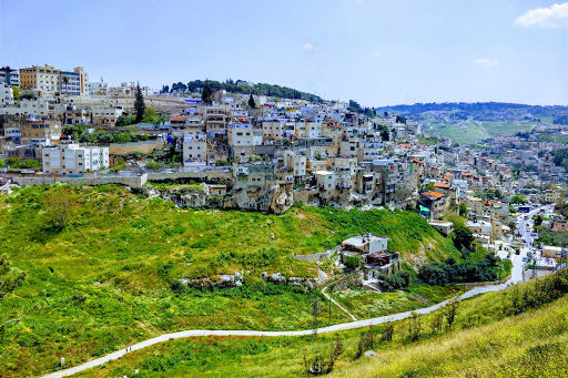 Mount of Olives Residence Glatt Kosher