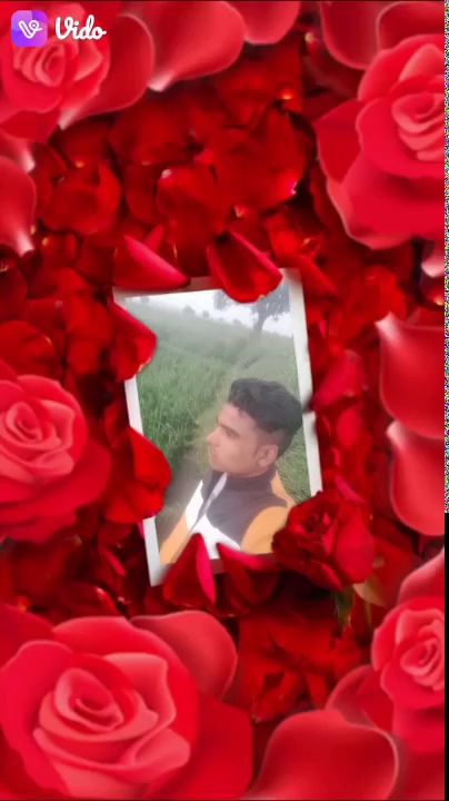 Govt. School