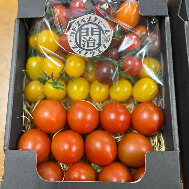 kadojiベジファーム 柴 農園 トマト