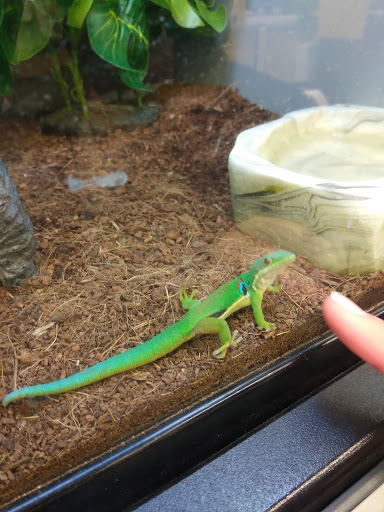 Pet Supply Store «PetSmart», reviews and photos, 6675 S Virginia St, Reno, NV 89511, USA