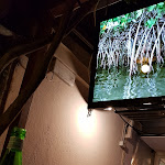 Photo n°3 de l'avis de Fabrizio.a fait le 04/07/2018 à 21:08 sur le  Ristorante La Pergola à Lido di Camaiore