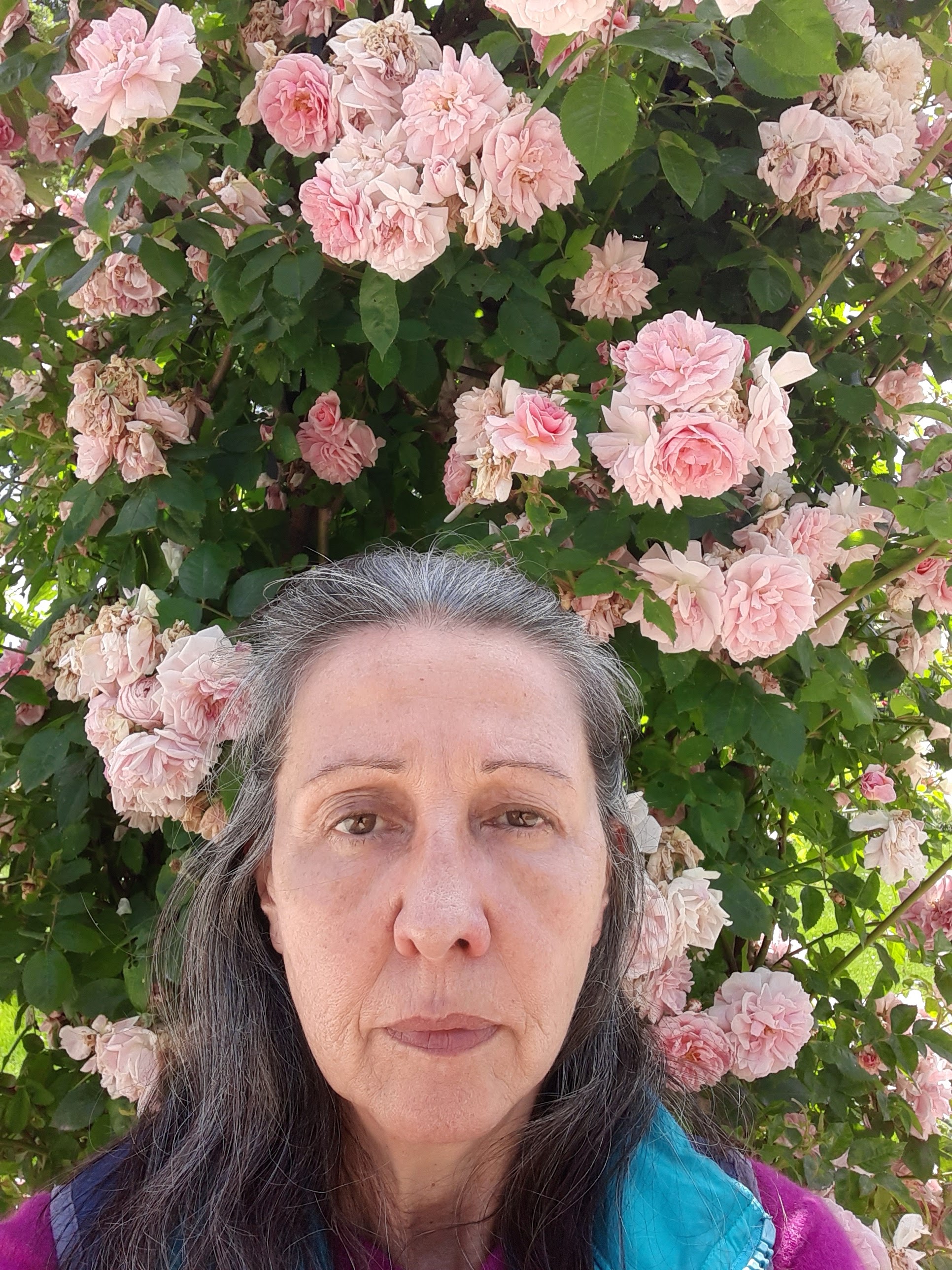 Photo n° 1 de l'avis de Micheline.U fait le 08/06/2022 à 08:24