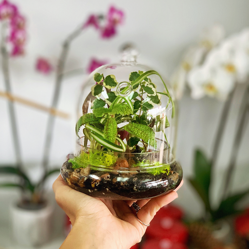 Florist «Scent & Violet florist», reviews and photos, 12811 Westheimer Rd, Houston, TX 77077, USA