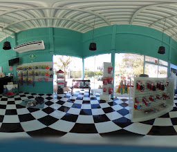 ANIMAL HOUSE PLAYA DEL CARMEN photo