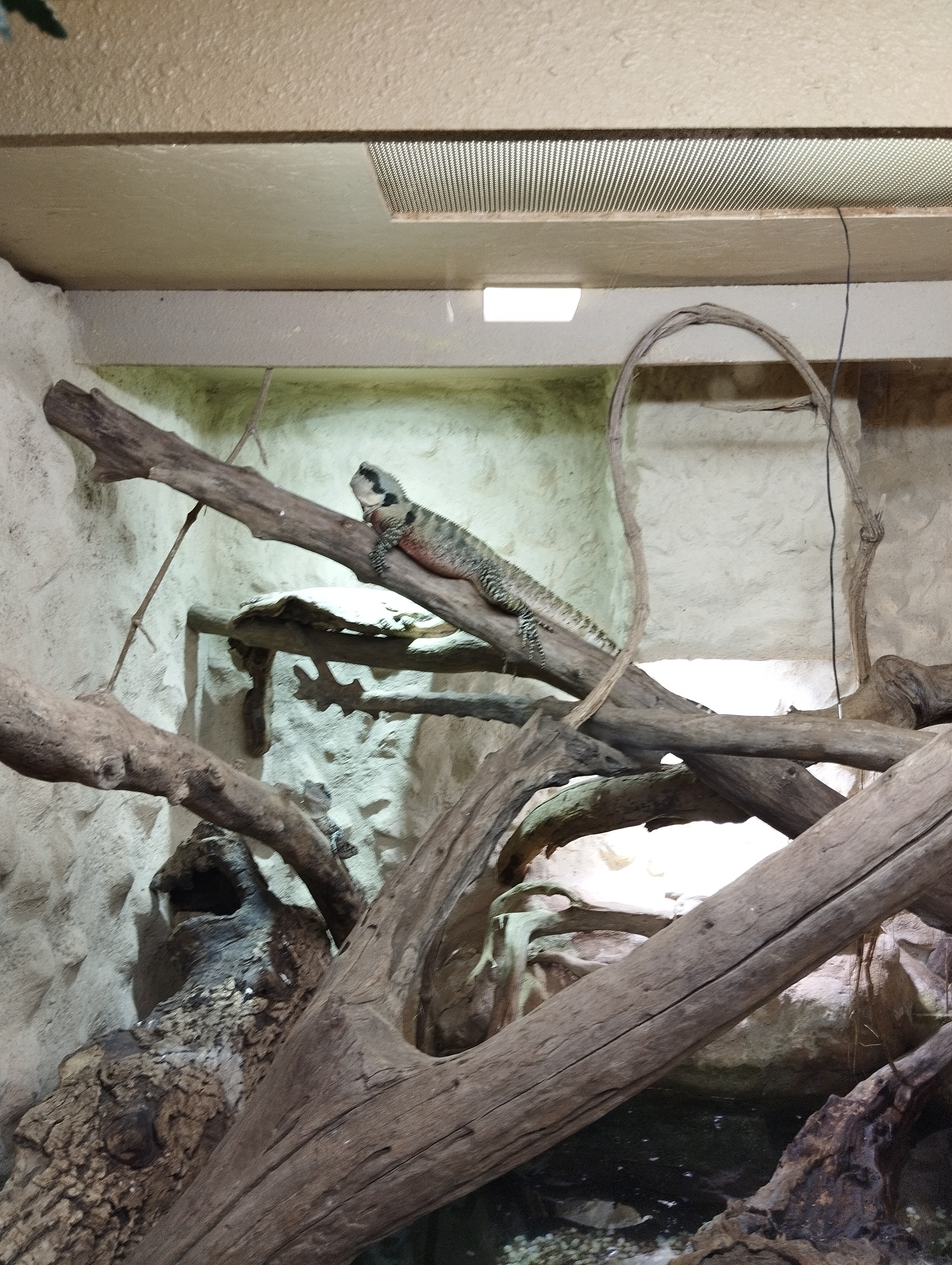 Photo n° 2 de l'avis de Seb.e fait le 17/07/2023 à 19:09