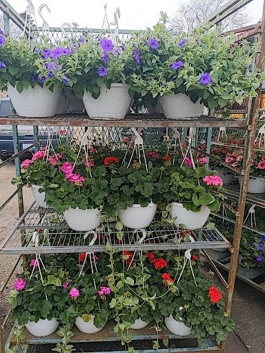 Wholesale Plant Nursery «Garden Fantasy», reviews and photos, 43250 Tyler Rd, Belleville, MI 48111, USA
