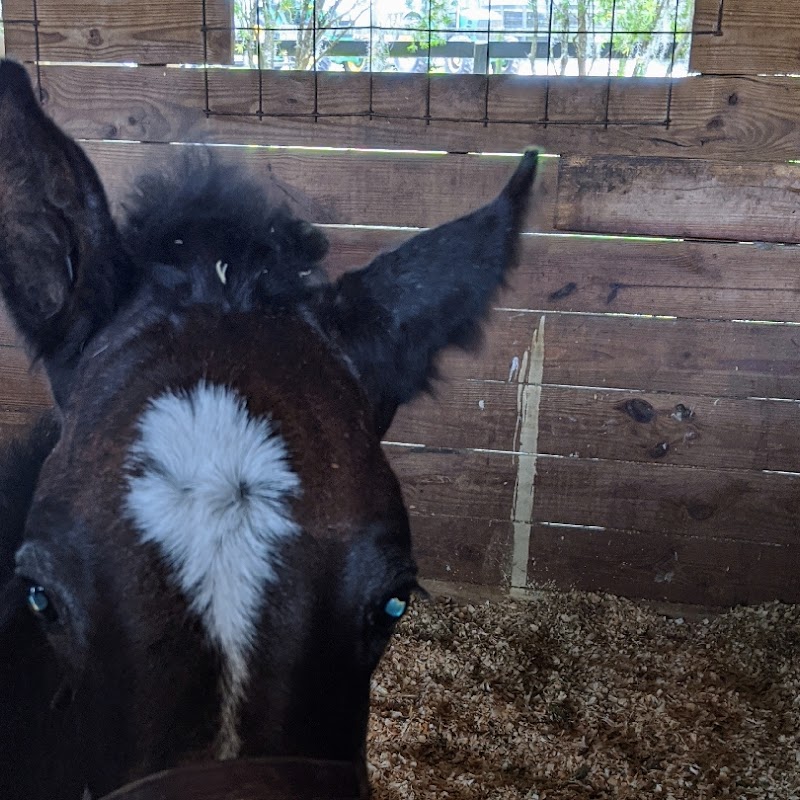 Farm Tours of Ocala