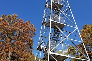Copperhead Lookout Tower image