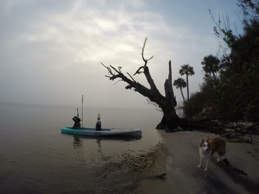 Sporting Goods Store «SUP and Skiff Outfitters Paddleboard Orlando Shop», reviews and photos, 6845 Narcoossee Rd #54, Orlando, FL 32822, USA