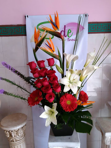 Florería Sode – Saltillo