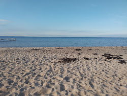 Photo de Kobingsmark Beach - endroit populaire parmi les connaisseurs de la détente