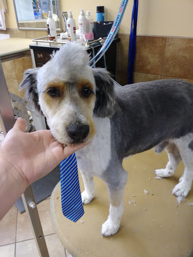 Pet Supply Store «PetSmart», reviews and photos, 13337 Worth Ave, Woodbridge, VA 22192, USA