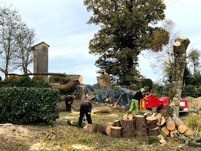 Breizh Arborescence à Le Moustoir