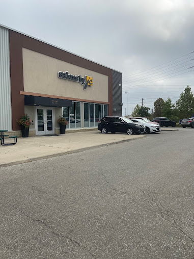 دعهم يلاحظون - Let Them Notice