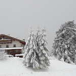 Photo n°1 de l'avis de Werner.t fait le 13/11/2019 à 12:15 sur le  Albergo Tschaufen à Mölten