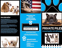 Private Piles - Photo 4 - Car repair in French Camp, CA, Stockton