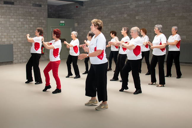 Reacties en beoordelingen van Funlinedance