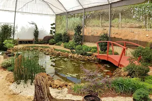 Botanical Garden Foundation of Pocos de Caldas image