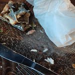 Photo n°1 de l'avis de Jens.c fait le 16/09/2022 à 16:25 sur le  Erlebnisräucherei Scheller à Rerik