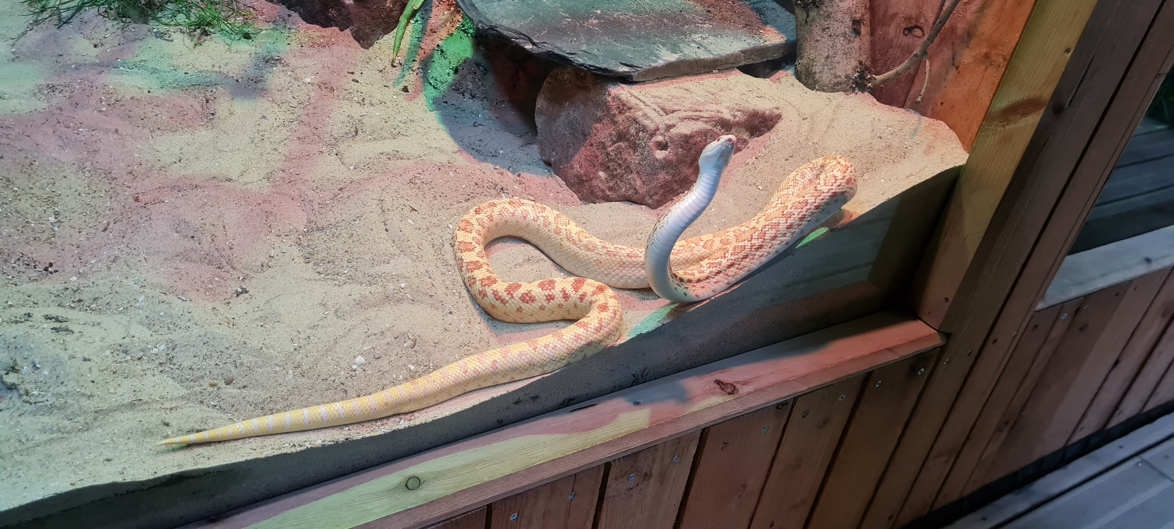 Photo n° 6 de l'avis de Laura.o fait le 16/02/2023 à 09:45