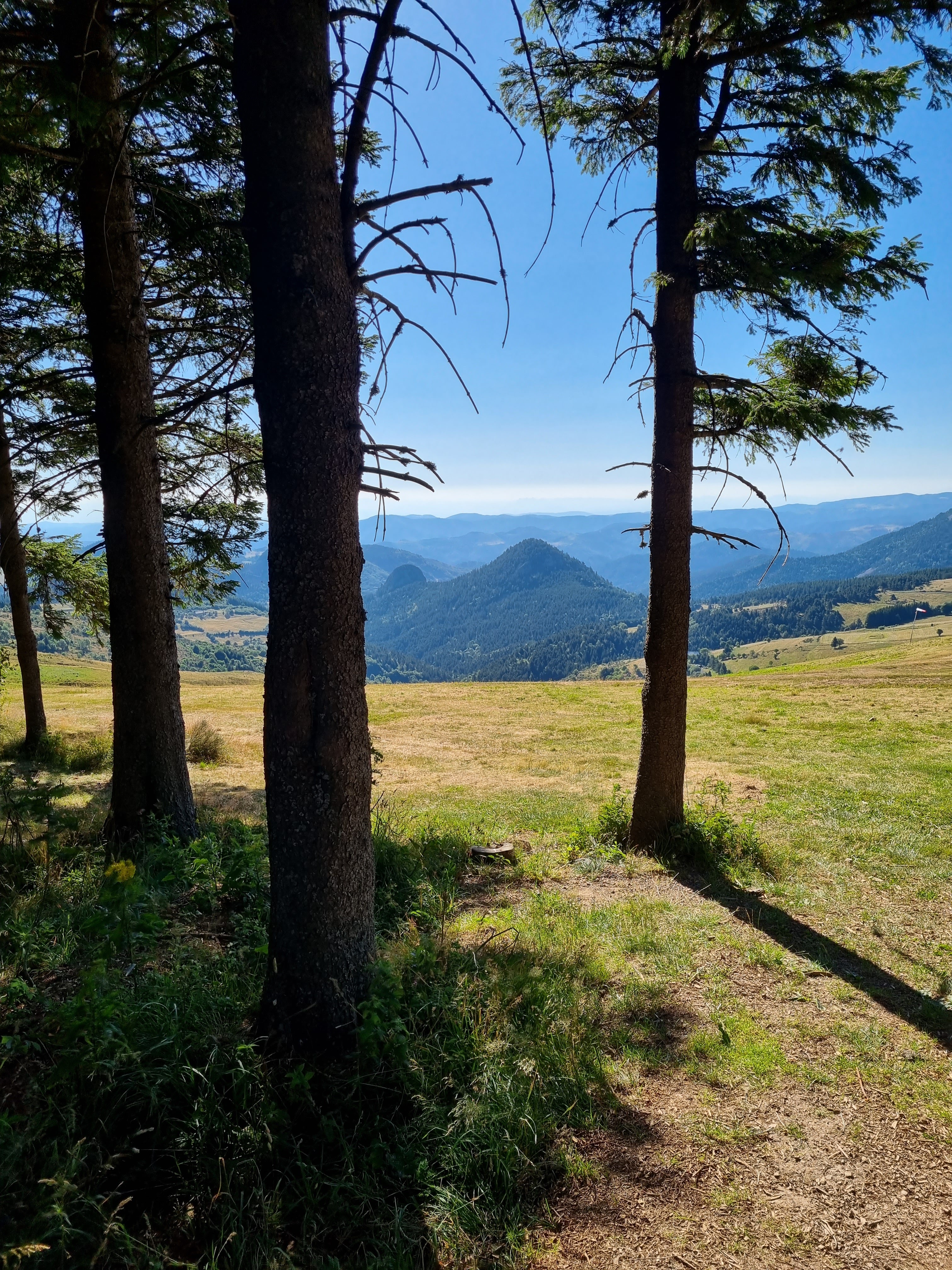 Photo n° 28 de l'avis de LD.R fait le 17/07/2022 à 16:33