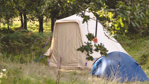 Bush Farm Wild Camping