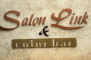 Salon Link and Color Bar image